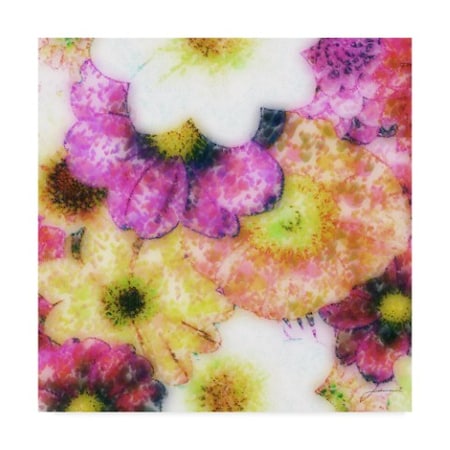 James Burghardt 'Floral Reef Ii' Canvas Art,18x18